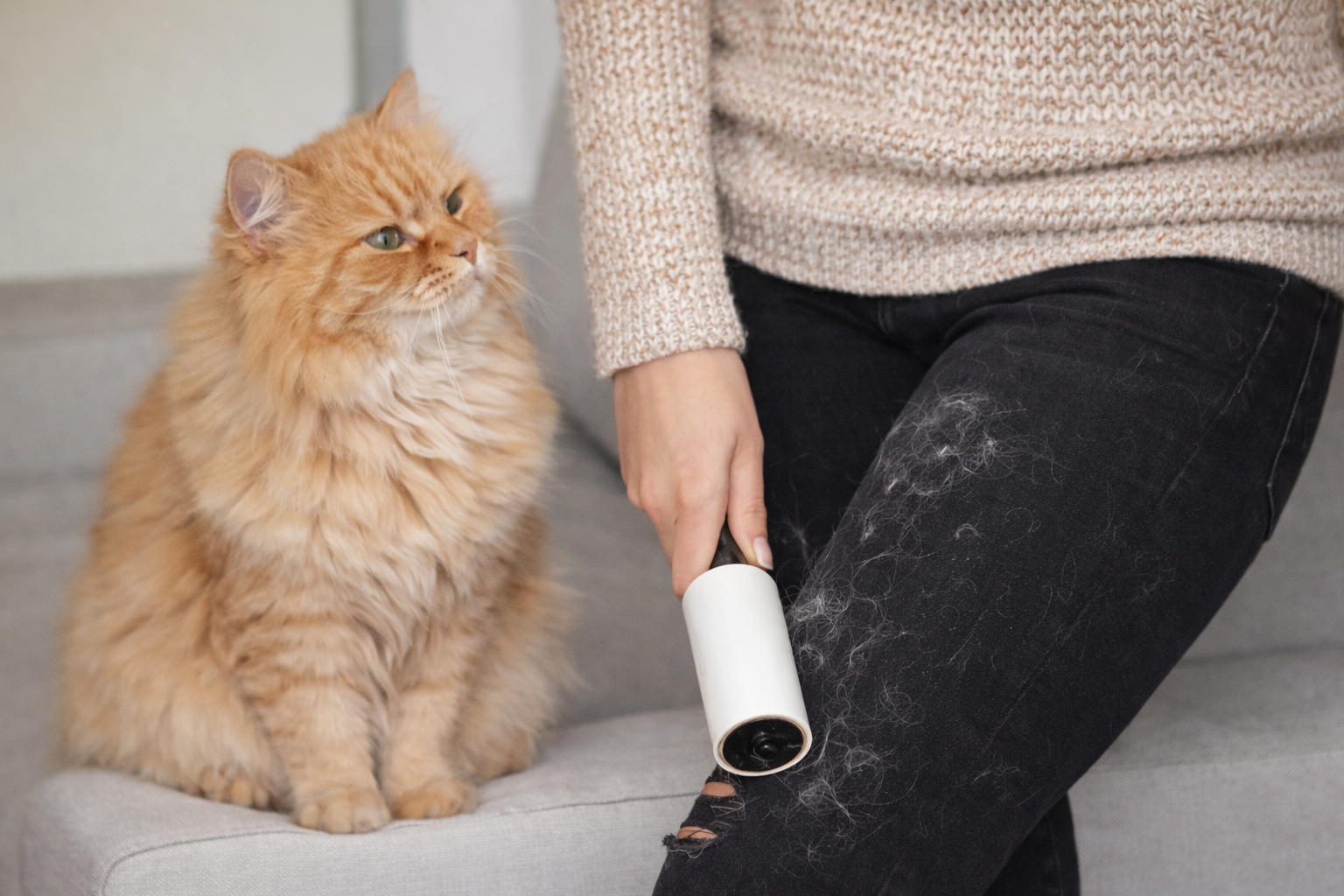 Pet hair on clothes showing why pet hair sticks to clothes